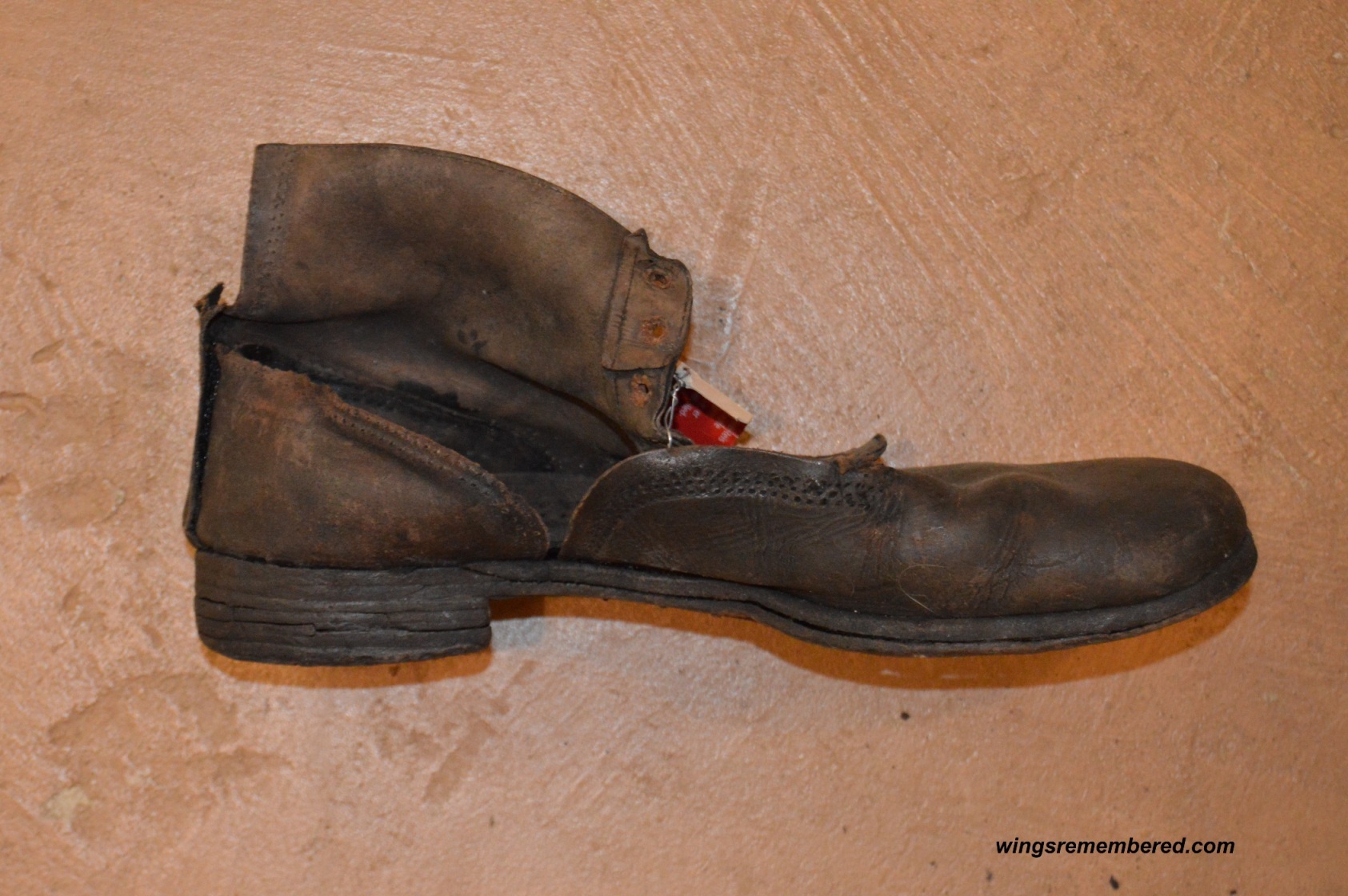 William’s shoe remains as recovered from the crash site